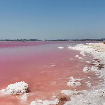 بيت للعطل Esclusivo Con Piscina E Giardino