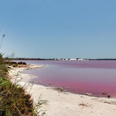 Esclusivo Con Piscina E Giardino بيت للعطل تورّيفيِخا