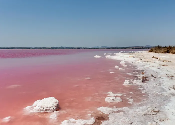 Сasa de vacaciones Esclusivo Con Piscina E Giardino