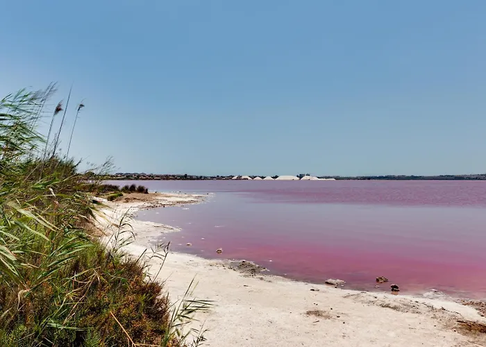 Esclusivo Con Piscina E Giardino Сasa de vacaciones Torrevieja